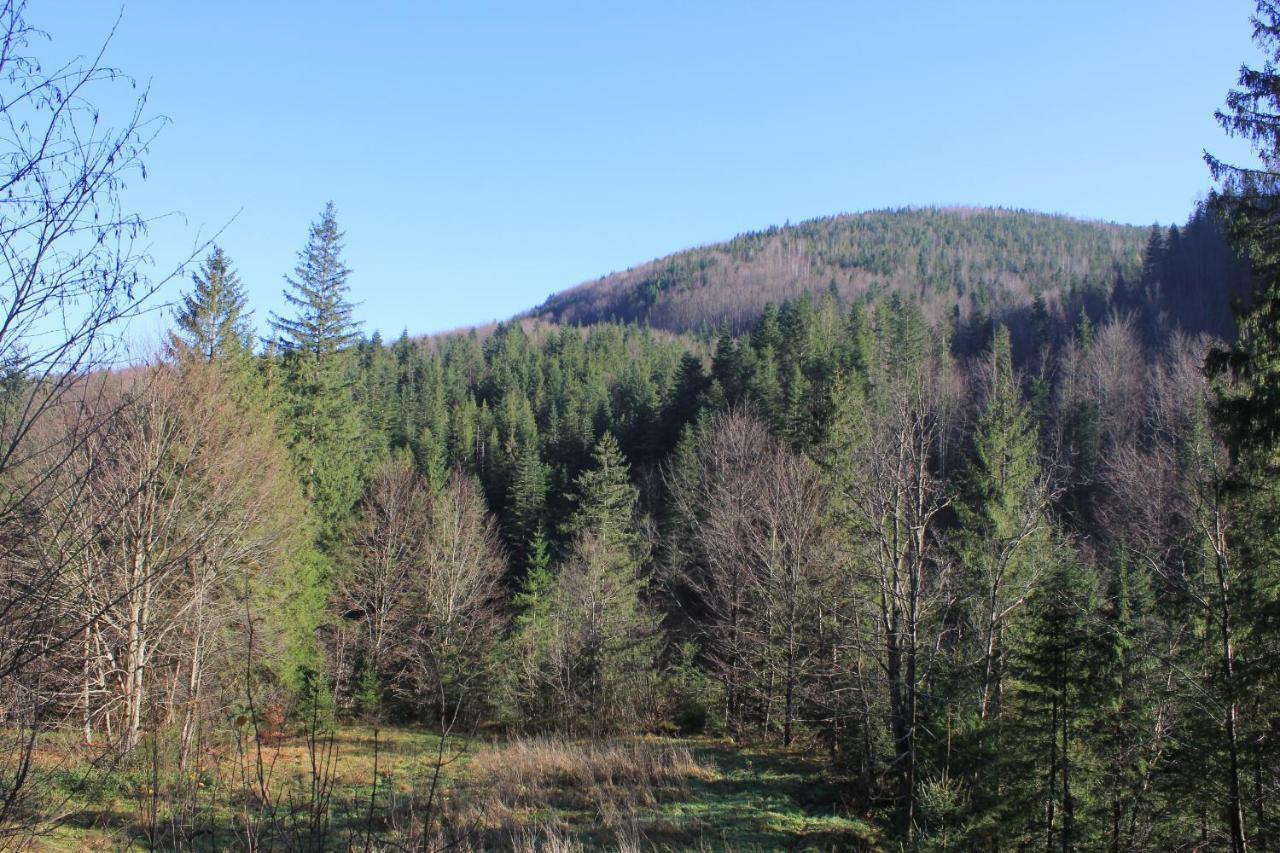 Котедж Mountain House Jaremcse Kültér fotó